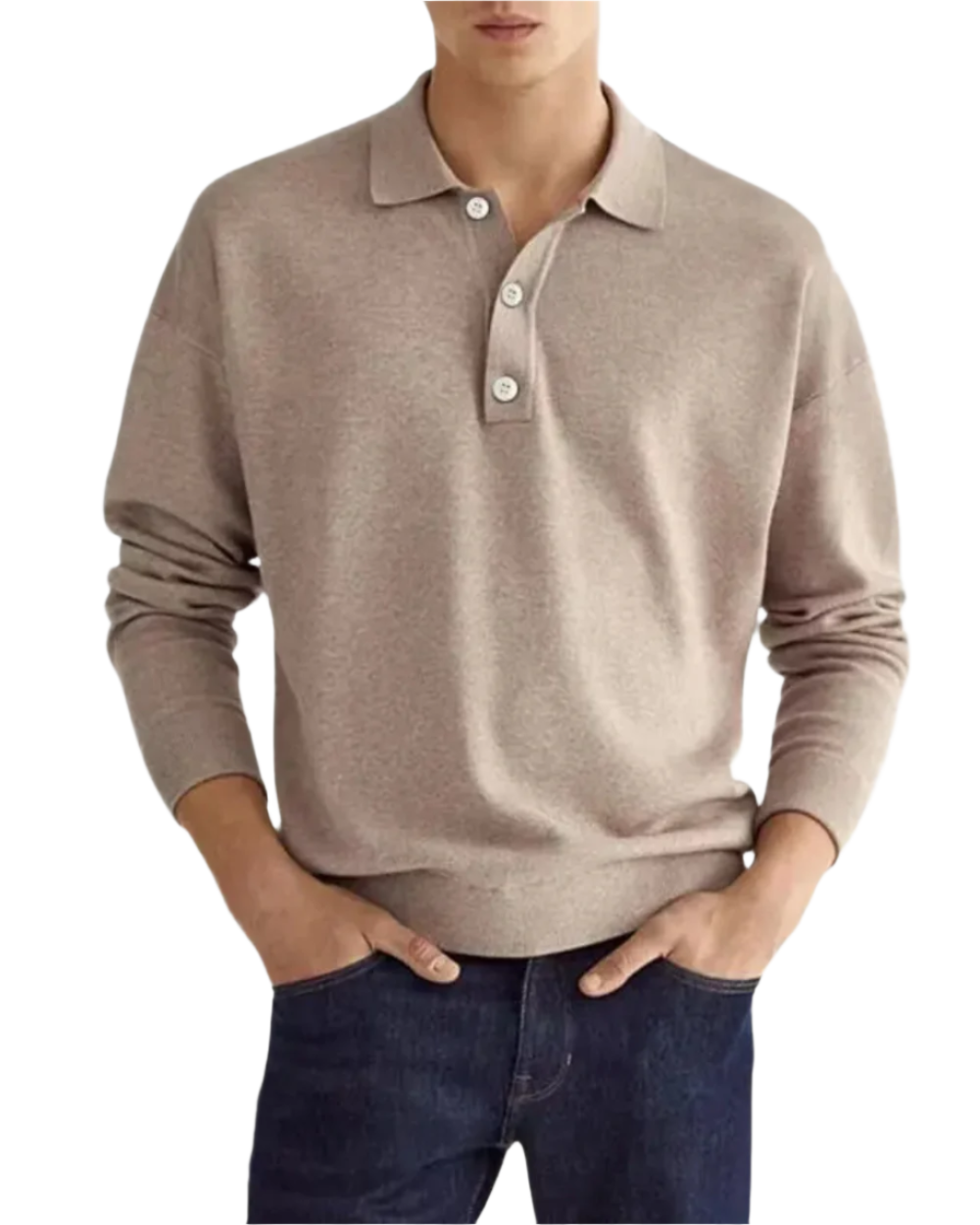Elegant Polo Sweater